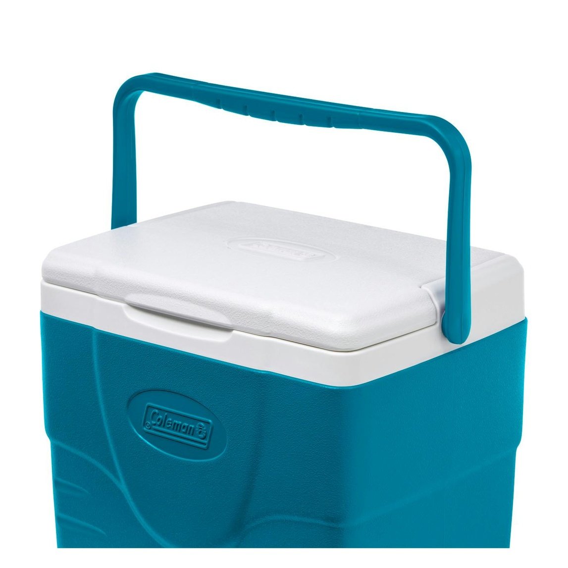 Chiller™ 9-Quart Portable Cooler