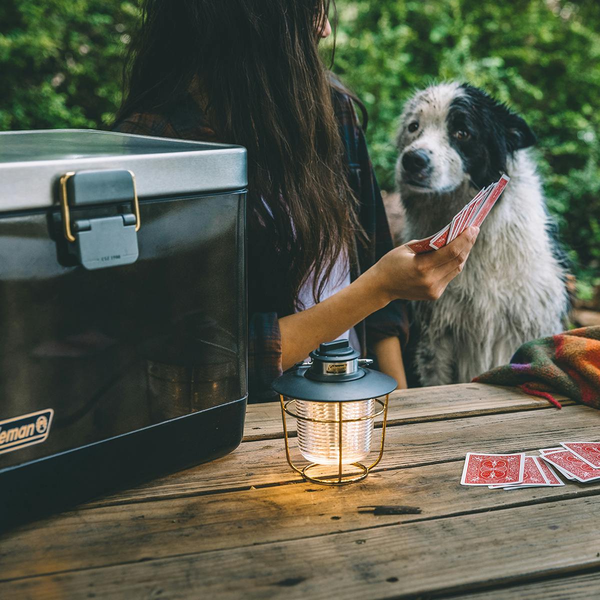 1900 Collection™ 200 Lumen LED Lantern Lanterns by Coleman | campsifu