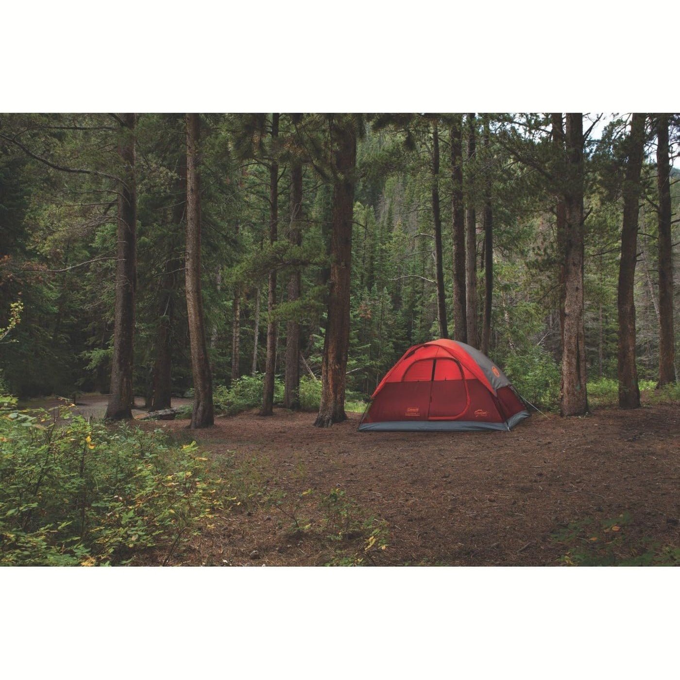 4-Person Flatwoods Tent, Red Tents by Coleman | campsifu