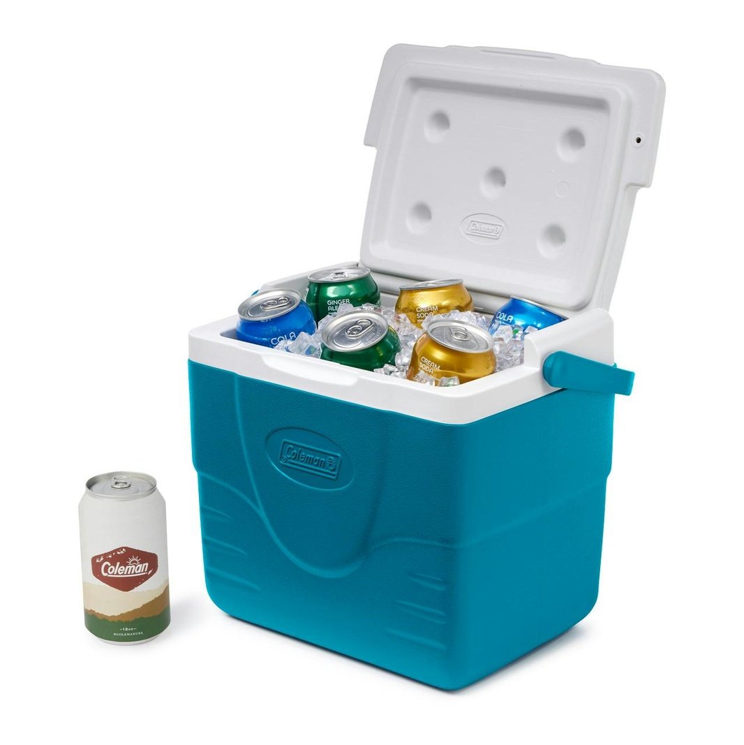 Chiller™ 9-Quart Portable Cooler