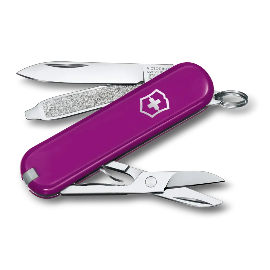 VICTORINOX CLASSIC SD TASTY GRAPE 0.6223.52B1 boatyardmalaysia