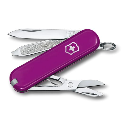 VICTORINOX CLASSIC SD TASTY GRAPE 0.6223.52B1 boatyardmalaysia