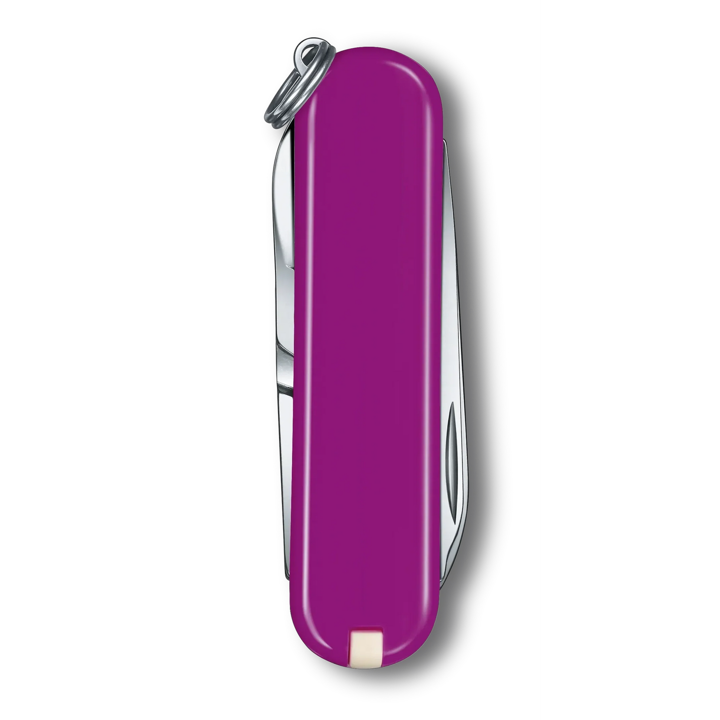 VICTORINOX CLASSIC SD TASTY GRAPE 0.6223.52B1 boatyardmalaysia