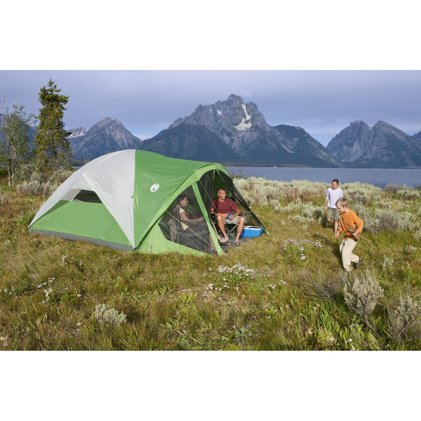 Evanston™ Screened 8 Tent, Palm Green Tents by Coleman | campsifu