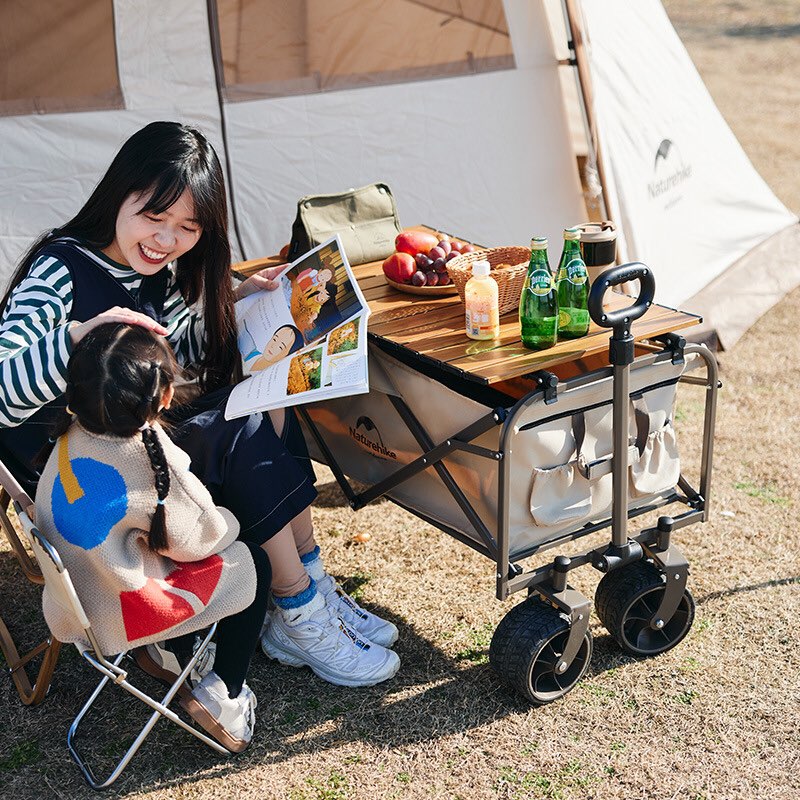 Folding Trolley