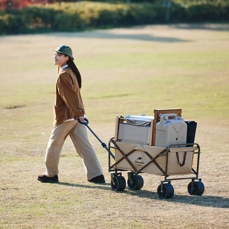 Folding Trolley