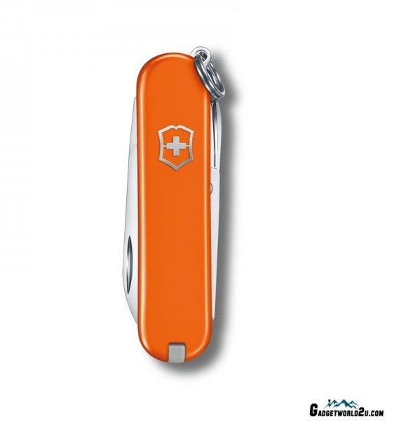 VICTORINOX CLASSIC SD MANGO TANGO 0.6223.83B1 boatyardmalaysia