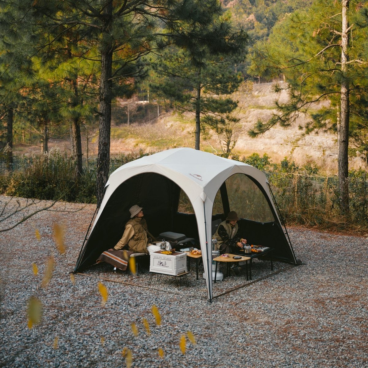 Quick Open Canopy