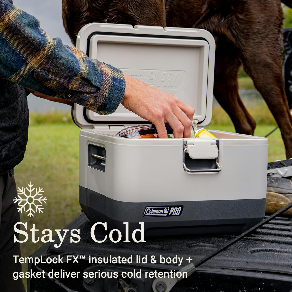 Pro™ 9-Quart Hard Cooler Hard Coolers by Coleman | campsifu